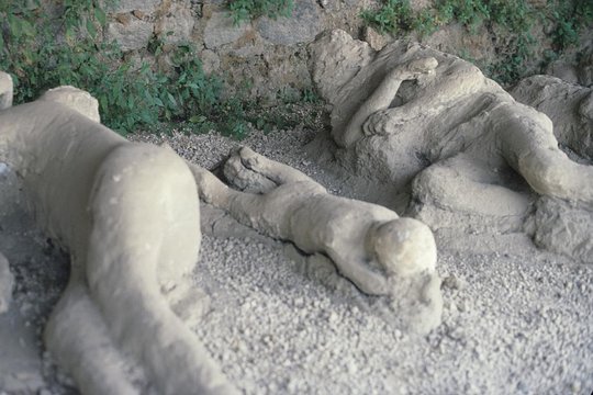 Tour image 8