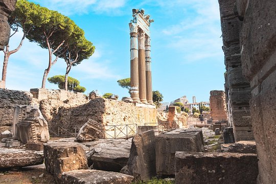 Tour image 10